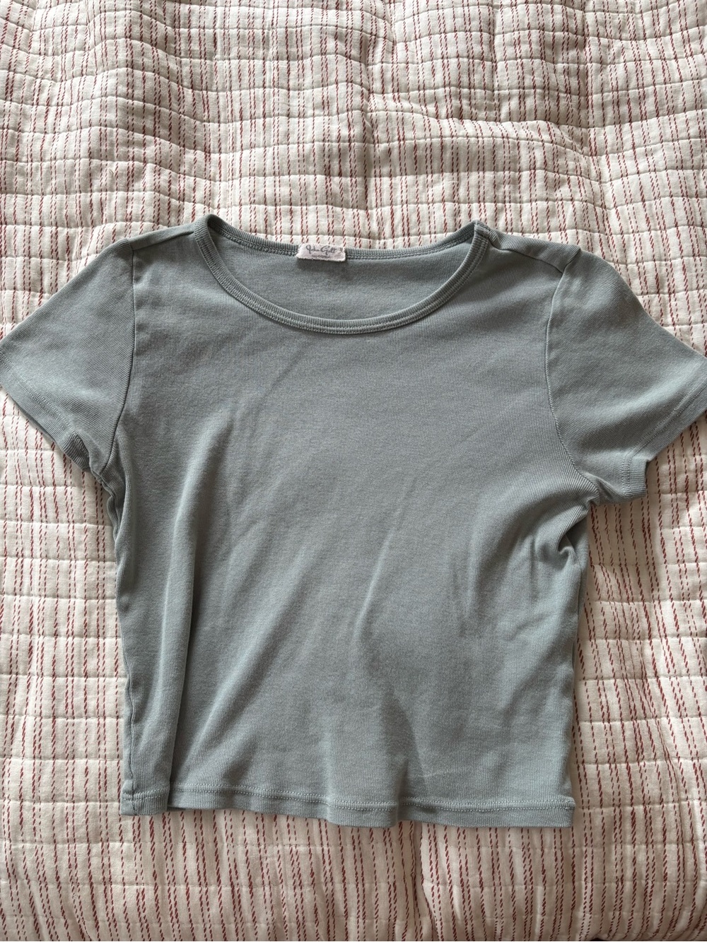 Brandy Melville Sage Green Short Sleeve Crop Top